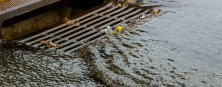 Plumber Macquarie Fields